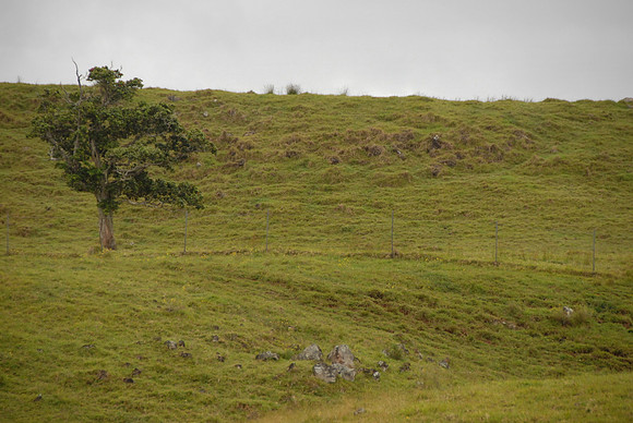 DSC_0002