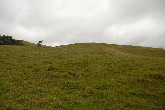 DSC_0005