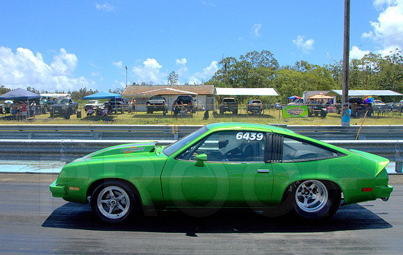 DSC_0428.NEF
