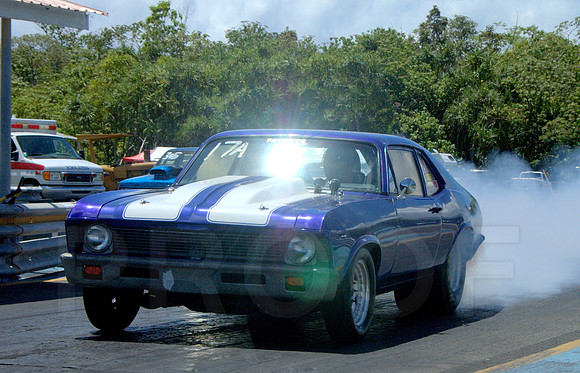 DSC_0421.NEF