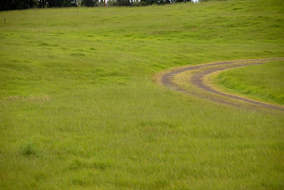 DSC_0106