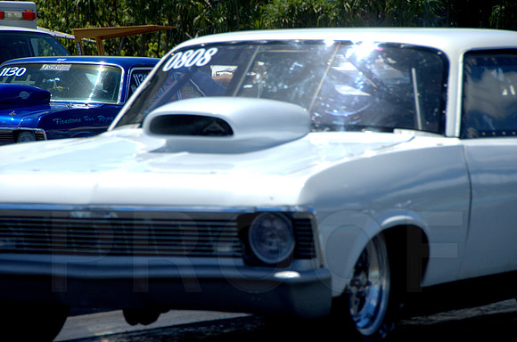 DSC_0435.NEF