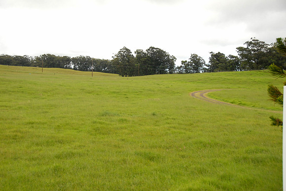 DSC_0107