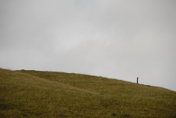 DSC_0014