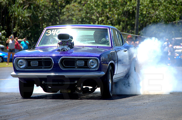 DSC_0442.NEF